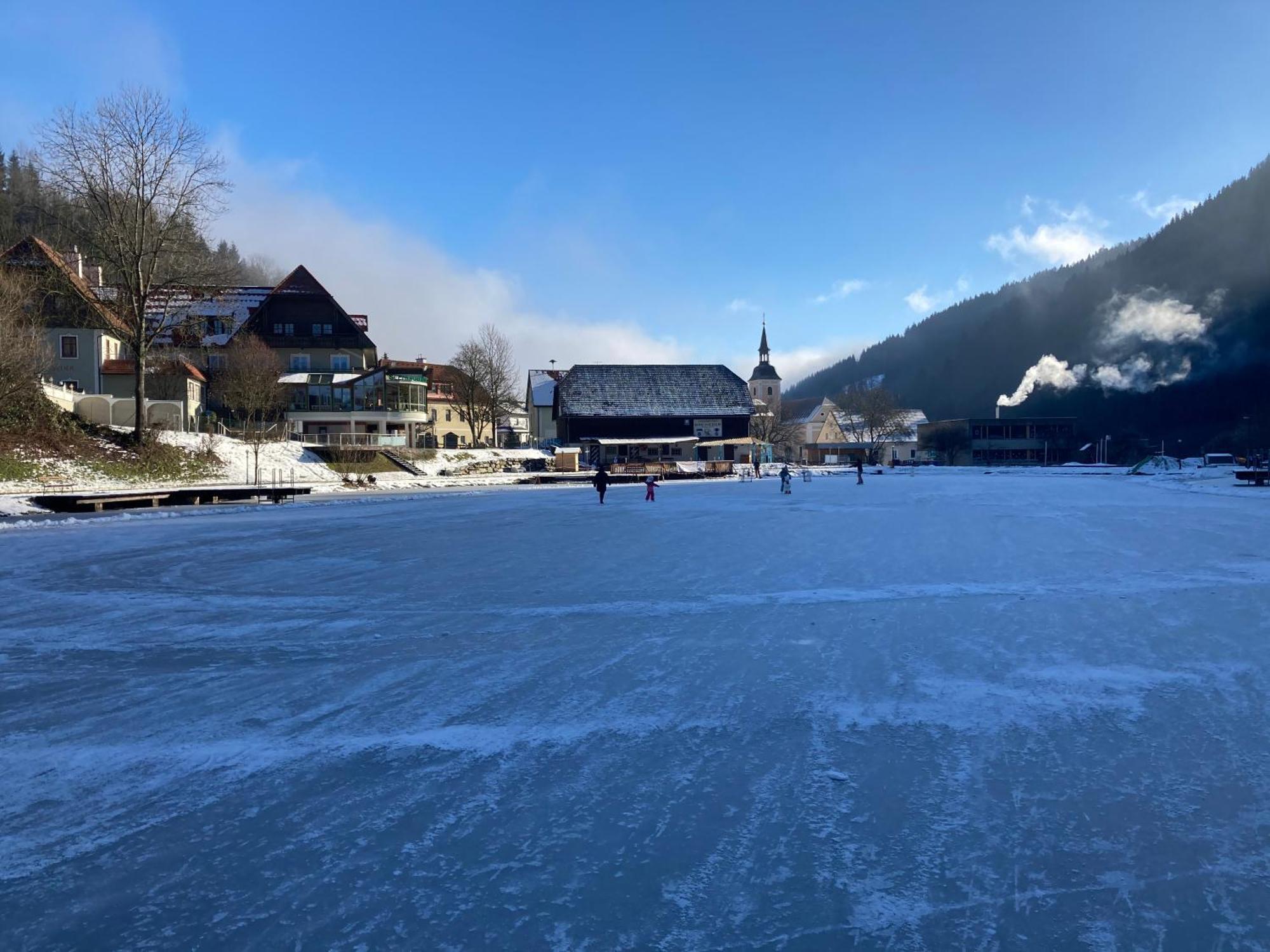 Seegasthof Breineder - Familien&Seminarhotel Monichwald Exterior foto